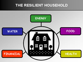 resilient-household-graphic