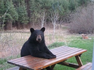 He's Thinking I'm Getting Hungryer By The Day..........